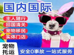 呼和浩特白塔航空托运国际宠物托运 【国
